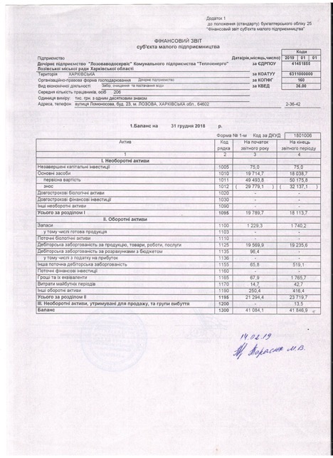 Фінансова звітність за 2018 рік до аудиторського висновку 1