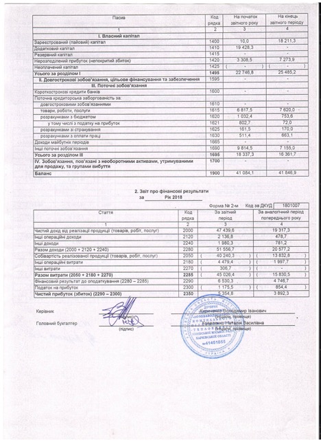 Фінансова звітність за 2018 рік до аудиторського висновку 2
